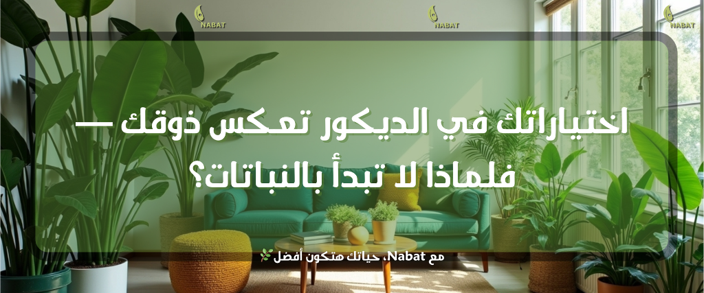 عرض خاص